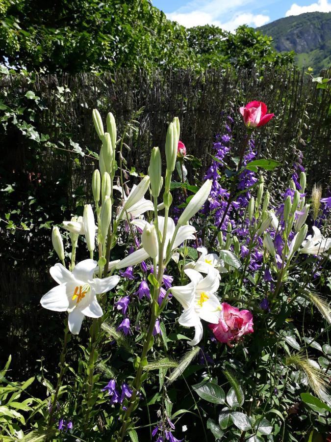 La Sereine Pech ภายนอก รูปภาพ